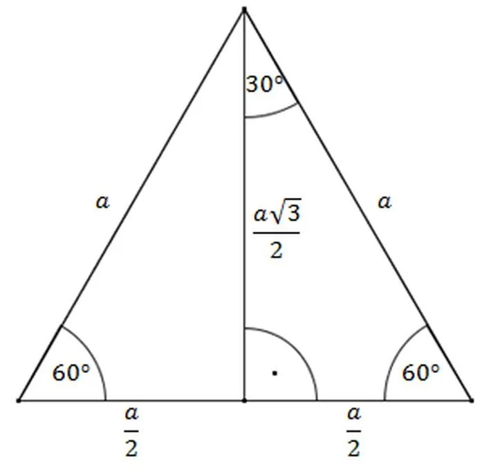 Bezproblemowe obliczanie wysokości w trójkącie prostokątnym – sprawdzone metody i wskazówki