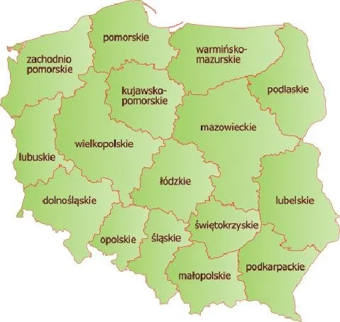 Czy zawodówka to wstyd — mity i fakty o szkołach zawodowych
