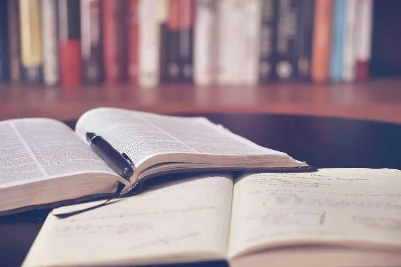 Pedagogika rewalidacyjna - odkryj cele i obszary działania tej ważnej dziedziny