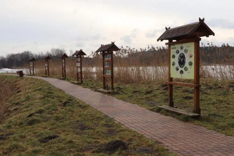 Ścieżka edukacyjna – co to jest i jak kształtuje naukę?