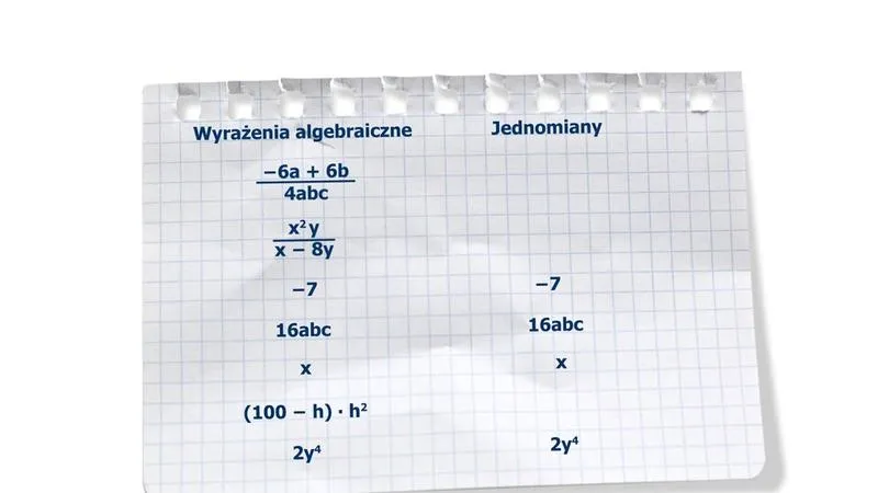 Wyrazy sumy algebraicznej – jak je łatwo zrozumieć?