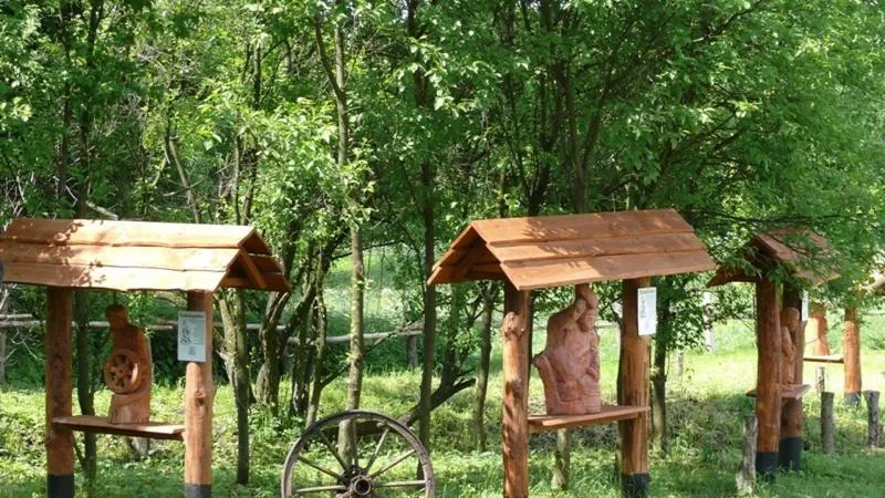 Zakładamy zagrodę edukacyjną: porady, by uniknąć najczęstszych błędów