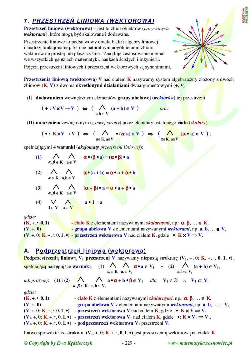 Algebra abstrakcyjna i jedność