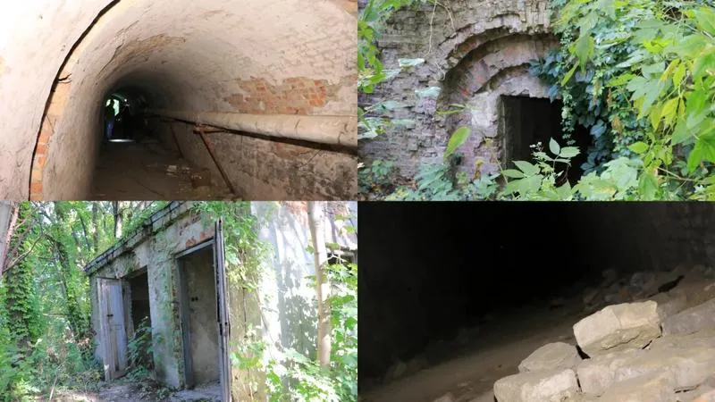 Analiza matematyczna parametru m