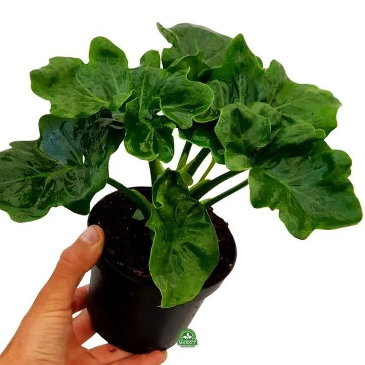 Budowa atomu i składniki materii