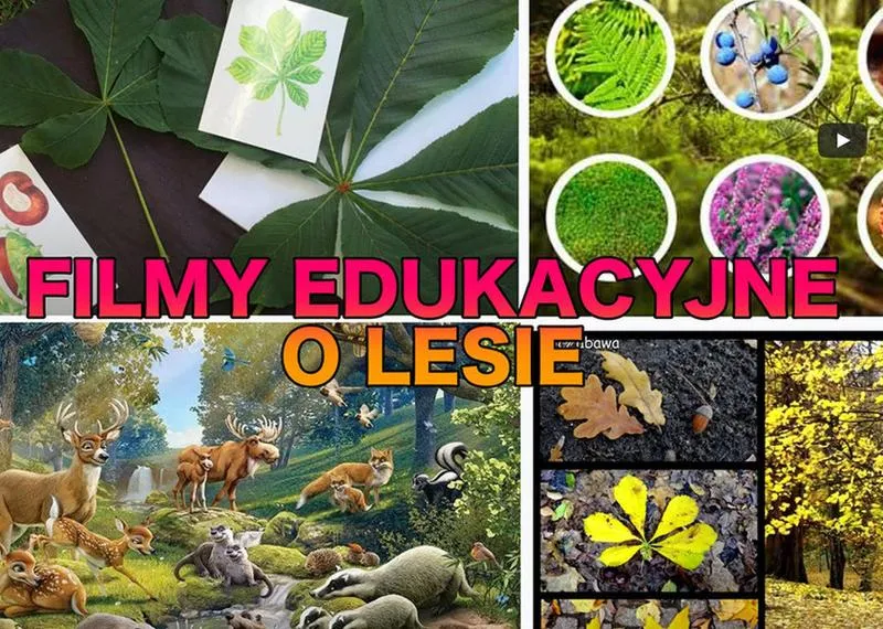 Edukacja i inspiracja