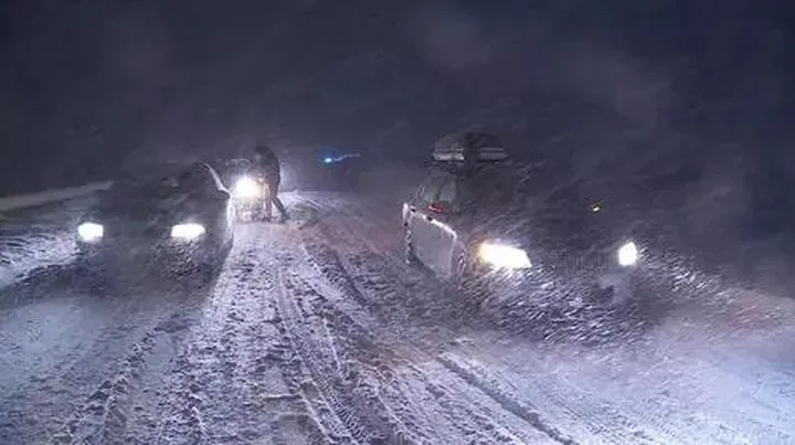 Edukacyjne filmy dla dzieci