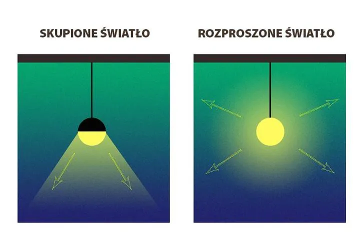 Fala i cząstka