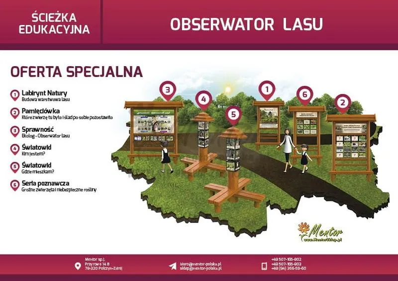 Indywidualne preferencje w nauce