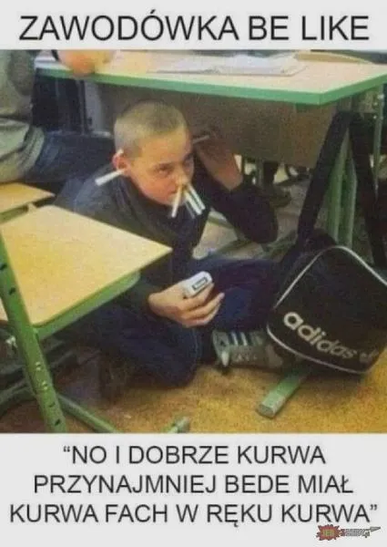 Kariera po technikum