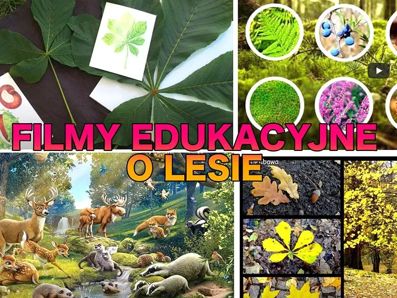 Niekonwencjonalne metody nauczania