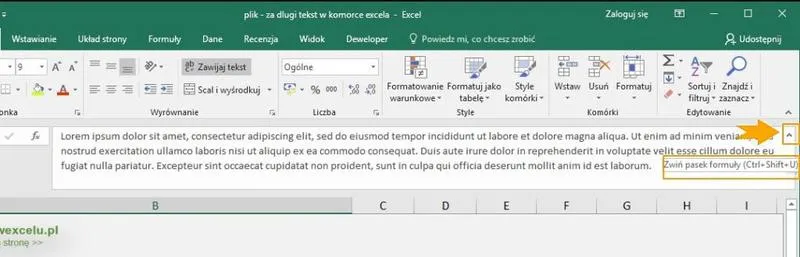 Organizacja danych w Excelu