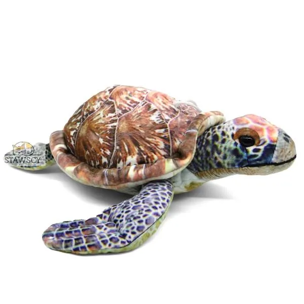 Poprawna pisownia