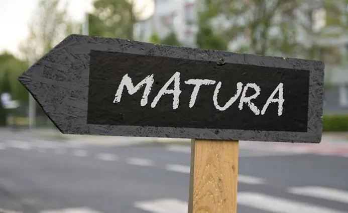 Preparation for maturity exam