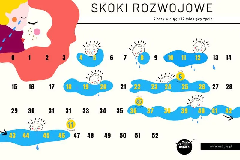 Ramy czasowe skoków rozwojowych
