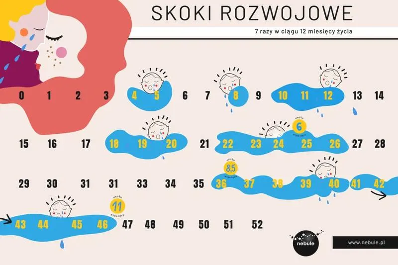 Rozwój układu nerwowego