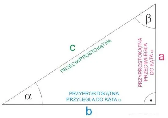 Własności funkcji cosinus