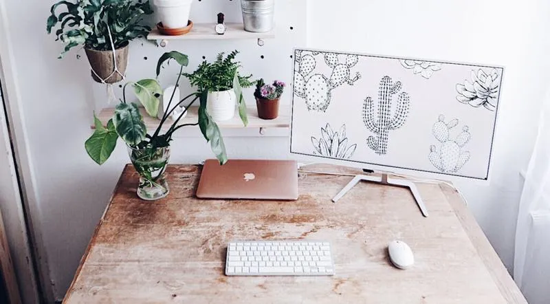 Współprace z markami