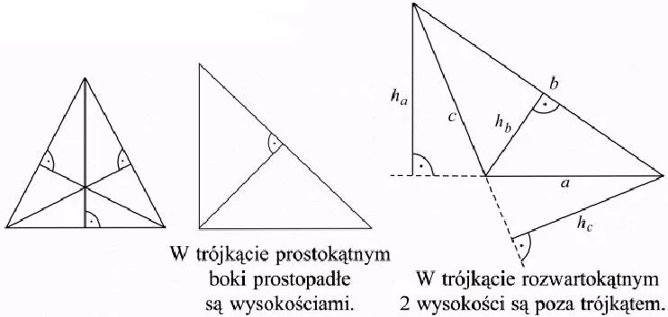 Wysokość w trójkącie