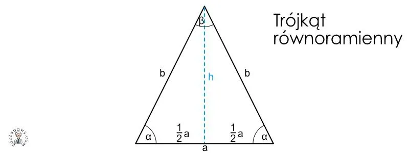 Zasady geometrii w obliczeniach pola
